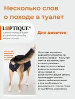 Послеоперационная попона - боди для собак Laptique, с анатомической посадкой — изображение 8