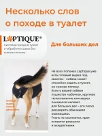Послеоперационная попона - боди для собак Laptique, с анатомической посадкой — изображение 6