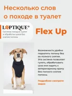 Послеоперационная попона - боди для собак Laptique, с анатомической посадкой — изображение 5