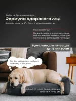 Лежанка для собак средних пород 80Х60 см — изображение 10