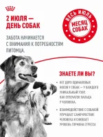 Сухой корм для собак Royal Canin Adult породы померанский шпиц, 1,5 кг — изображение 2