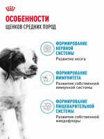 Сухой корм для щенков Royal Canin Medium Puppy для средних пород, 3 кг — изображение 5