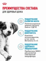 Сухой корм для щенков Royal Canin Medium Puppy для средних пород, 3 кг — изображение 6