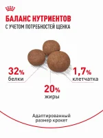 Сухой корм для щенков Royal Canin Medium Puppy для средних пород, 3 кг — изображение 7