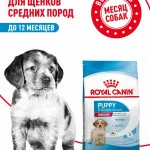 Сухой корм для щенков Royal Canin Medium Puppy для средних пород, 3 кг