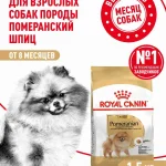 Сухой корм для собак Royal Canin Adult породы померанский шпиц, 1,5 кг