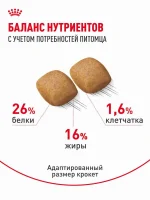 Сухой корм для собак Royal Canin Adult породы померанский шпиц, 1,5 кг — изображение 6