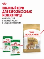 Сухой корм для собак Royal Canin Adult породы померанский шпиц, 1,5 кг — изображение 10
