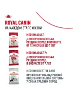 Влажный корм Royal Canin Maxi Puppy для щенков средних пород, Птица (соус), 100 г х 10 шт. (Копировать) — изображение 10