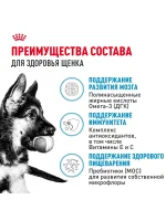 Влажный корм Royal Canin Maxi Puppy для щенков крупных пород, Птица (соус), 100 г х 10 шт. — изображение 3