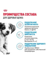 Влажный корм Royal Canin Maxi Puppy для щенков средних пород, Птица (соус), 100 г х 10 шт. (Копировать) — изображение 3