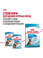 Влажный корм Royal Canin Maxi Puppy для щенков крупных пород, Птица (соус), 100 г х 10 шт. — изображение 7