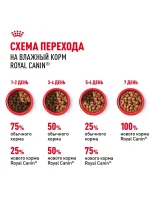 Влажный корм Royal Canin Maxi Puppy для щенков крупных пород, Птица (соус), 100 г х 10 шт. — изображение 6