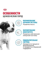 Влажный корм Royal Canin Maxi Puppy для щенков средних пород, Птица (соус), 100 г х 10 шт. (Копировать) — изображение 2