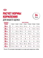 Влажный корм Royal Canin Maxi Puppy для щенков крупных пород, Птица (соус), 100 г х 10 шт. — изображение 8