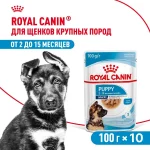 Влажный корм Royal Canin Maxi Puppy для щенков крупных пород, Птица (соус), 100 г х 10 шт.