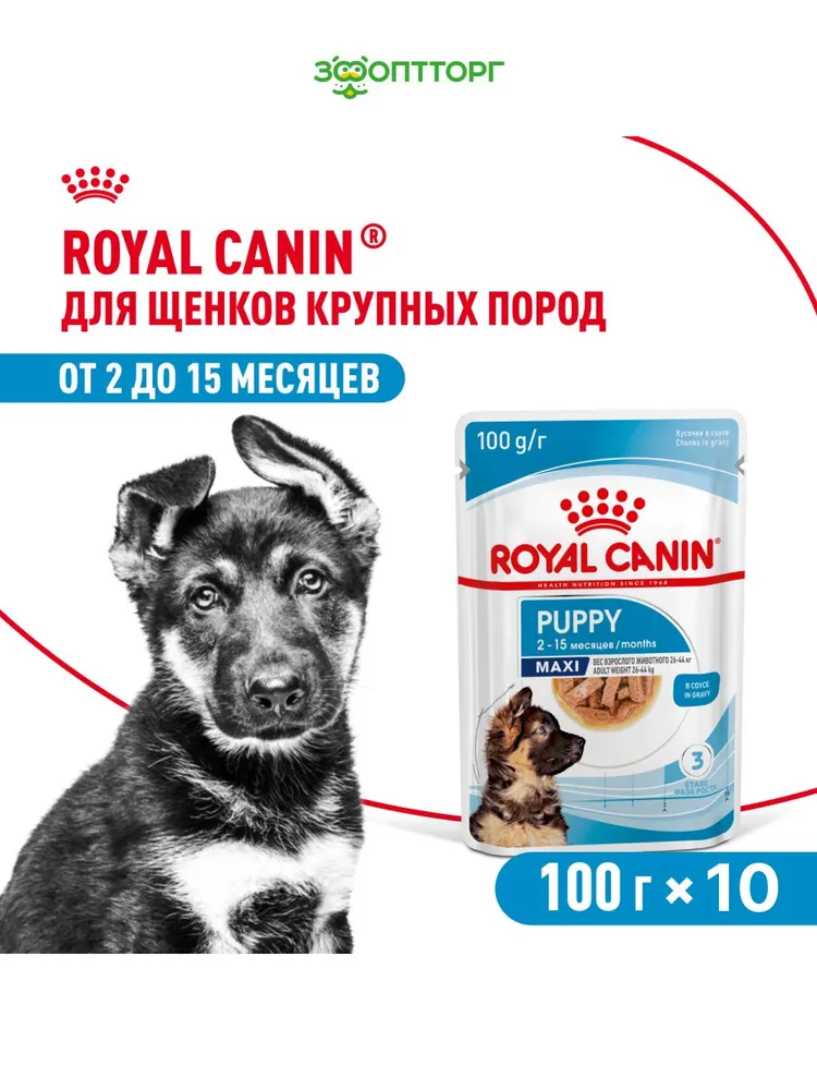 12380712180 Влажный корм Royal Canin Maxi Puppy для щенков крупных пород, Птица (соус), 100 г х 10 шт. — изображение 1