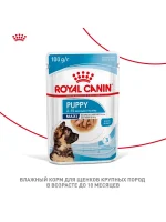 Влажный корм Royal Canin Maxi Puppy для щенков крупных пород, Птица (соус), 100 г х 10 шт. — изображение 9
