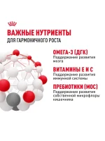 Влажный корм Royal Canin Maxi Puppy для щенков крупных пород, Птица (соус), 100 г х 10 шт. — изображение 5