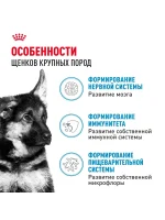 Влажный корм Royal Canin Maxi Puppy для щенков крупных пород, Птица (соус), 100 г х 10 шт. — изображение 2