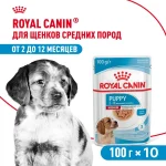 Влажный корм Royal Canin Maxi Puppy для щенков средних пород, Птица (соус), 100 г х 10 шт. (Копировать)