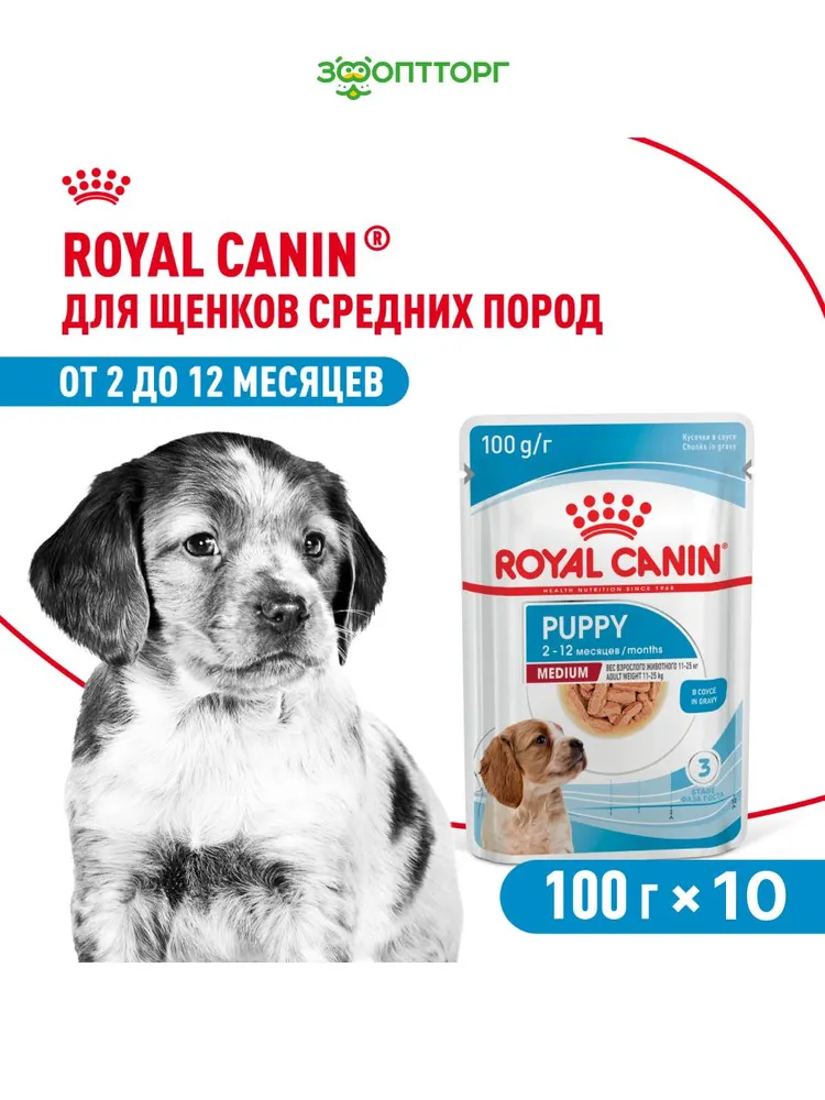 12380718851 Влажный корм Royal Canin Maxi Puppy для щенков средних пород, Птица (соус), 100 г х 10 шт. (Копировать) — изображение 1