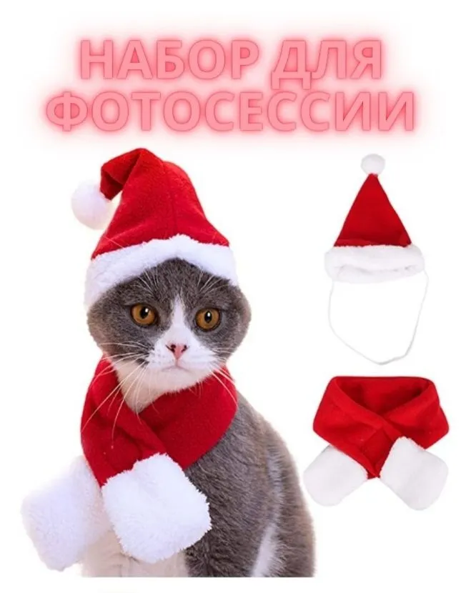 6422291282 Новогодний набор для фотосессии для кошек, собак. Колпак новогодний для животных — изображение 1
