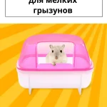 Ванночка купалка для грызунов/Домик для хомяков, декоративных мышек/Туалет для мелких грызунов 12х8,5х5,5 см., цвет розовый