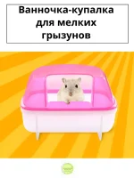 Ванночка купалка для грызунов/Домик для хомяков, декоративных мышек/Туалет для мелких грызунов 12х8,5х5,5 см., цвет розовый