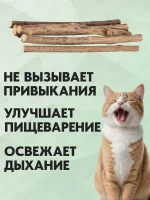 Палочки мататаби отборные для кошек EQOS, с кошачьей мятой, игрушка-лакомство для котят с витаминами, 10 шт — изображение 4
