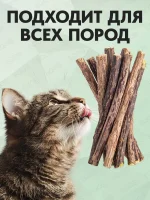 Палочки мататаби отборные для кошек EQOS, с кошачьей мятой, игрушка-лакомство для котят с витаминами, 10 шт — изображение 2
