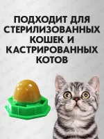 Леденец для котов 3 штуки с курицей и кошачьей мятой, Конфета-шарик с витаминами, Лакомство для кошек кошачья мята, Игрушка для котят — изображение 3