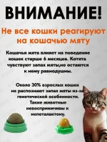 Леденец для котов 3 штуки с курицей и кошачьей мятой, Конфета-шарик с витаминами, Лакомство для кошек кошачья мята, Игрушка для котят — изображение 6