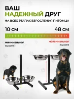 Миски для собак на подставке для средних и крупных пород — изображение 4