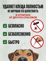 Набор устройство для удаления и извлечения клещей для людей и животных Longa Vita КЛЕЩАМНЕТ — изображение 2