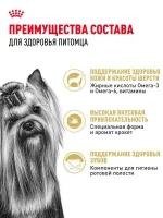 Сухой корм для собак Royal Canin Adult для породы йоркширский терьер, 1,5 кг — изображение 3