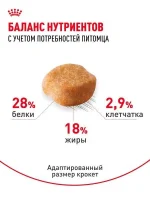 Сухой корм для собак Royal Canin Adult для породы йоркширский терьер, 1,5 кг — изображение 4