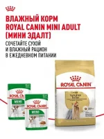 Сухой корм для собак Royal Canin Adult для породы йоркширский терьер, 1,5 кг — изображение 8