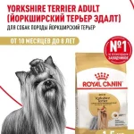 Сухой корм для собак Royal Canin Adult для породы йоркширский терьер, 1,5 кг