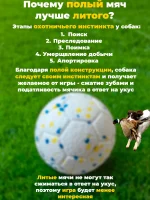 Большой мячик для собак крупных и средних пород WOOFers — изображение 3