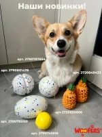 Большой мячик для собак крупных и средних пород WOOFers — изображение 4
