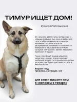 Поводок для собак средних пород 10 метров — изображение 8