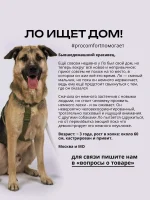 Поводок для собак средних пород 5 метров — изображение 9