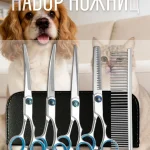 Набор ножниц для стрижки собак,набор из 4 ножниц И расчески для домашних животных ,синий