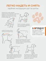 Послеоперационная попона - боди для собак Laptique, с анатомической посадкой — изображение 9