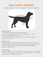 Послеоперационная попона - боди для собак Laptique, с анатомической посадкой — изображение 10