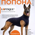 Послеоперационная попона - боди для собак Laptique, с анатомической посадкой