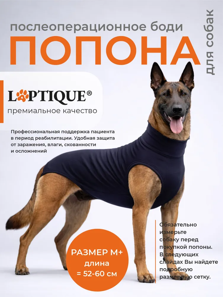 9921336749 Послеоперационная попона - боди для собак Laptique, с анатомической посадкой — изображение 1