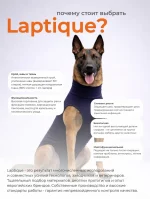 Послеоперационная попона - боди для собак Laptique, с анатомической посадкой — изображение 2