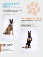 Послеоперационная попона - боди для собак Laptique, с анатомической посадкой — изображение 4